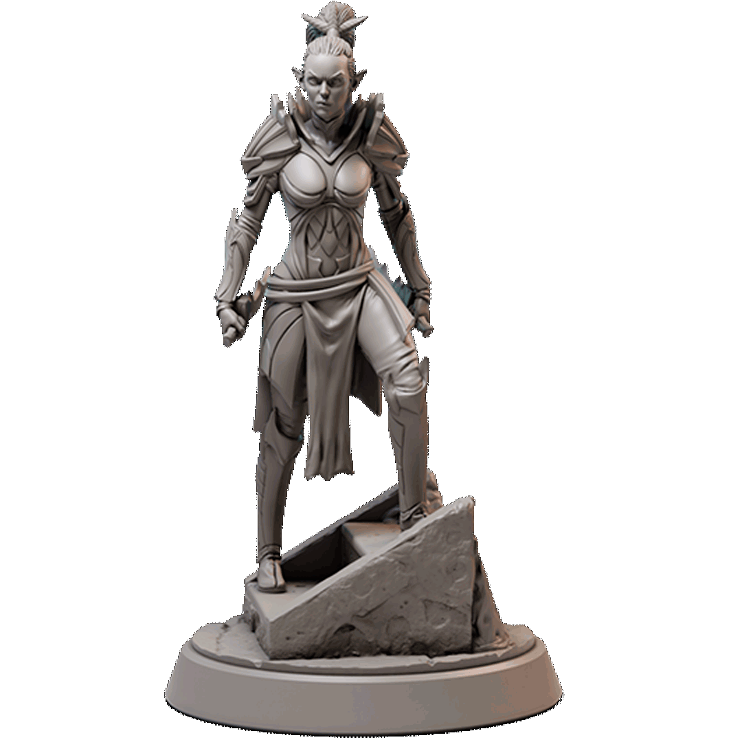 Drow Warrior Female