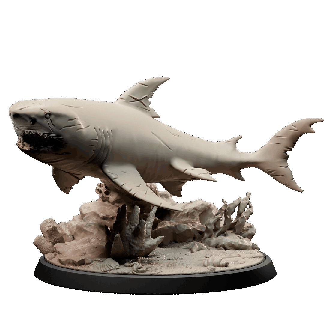 Hunter Shark