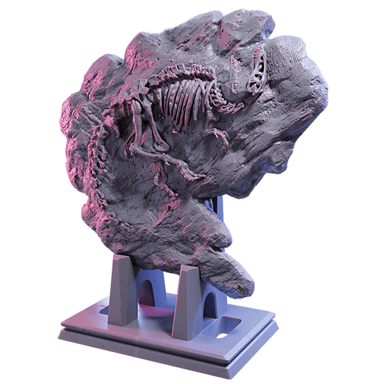 Eoraptor Fossil
