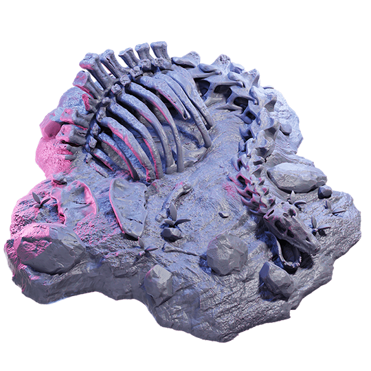 Apatosaurus Fossil