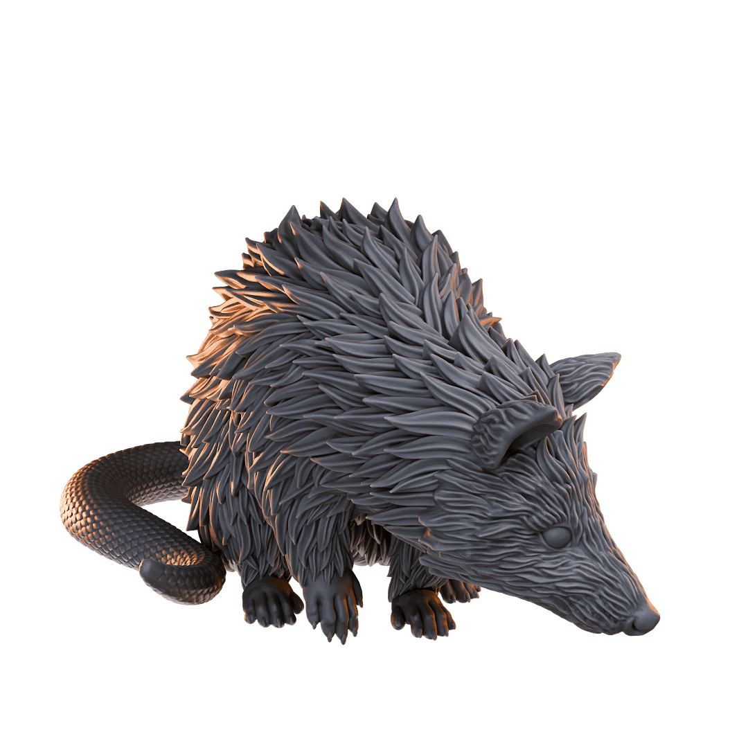 Possum