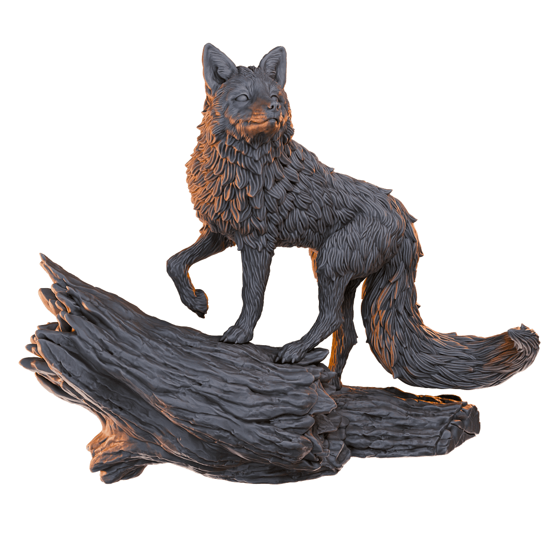 Fox
