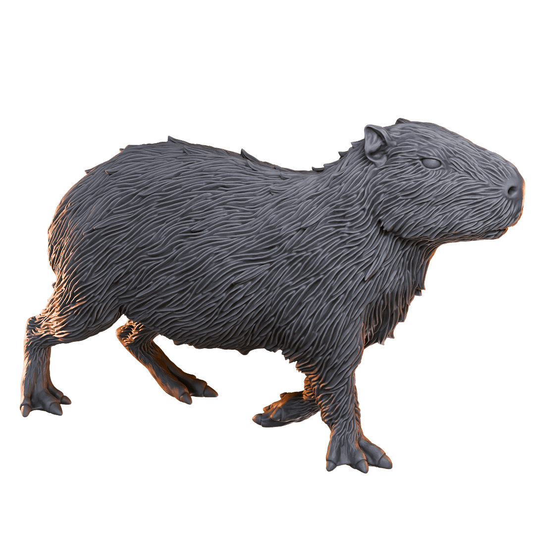 Capybara