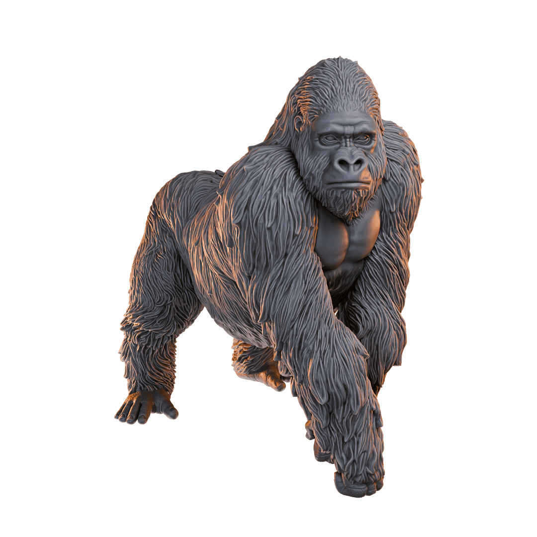 Gorilla