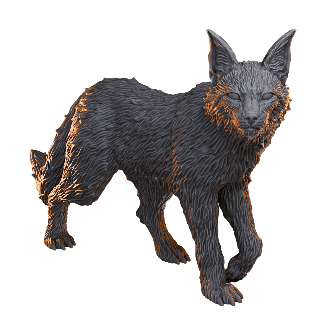 Wild Cat