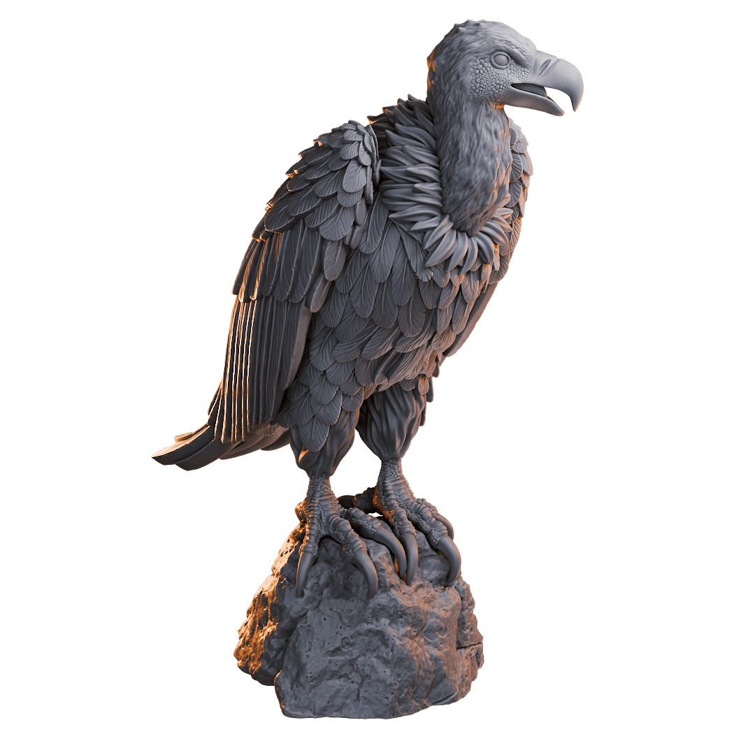 Vulture