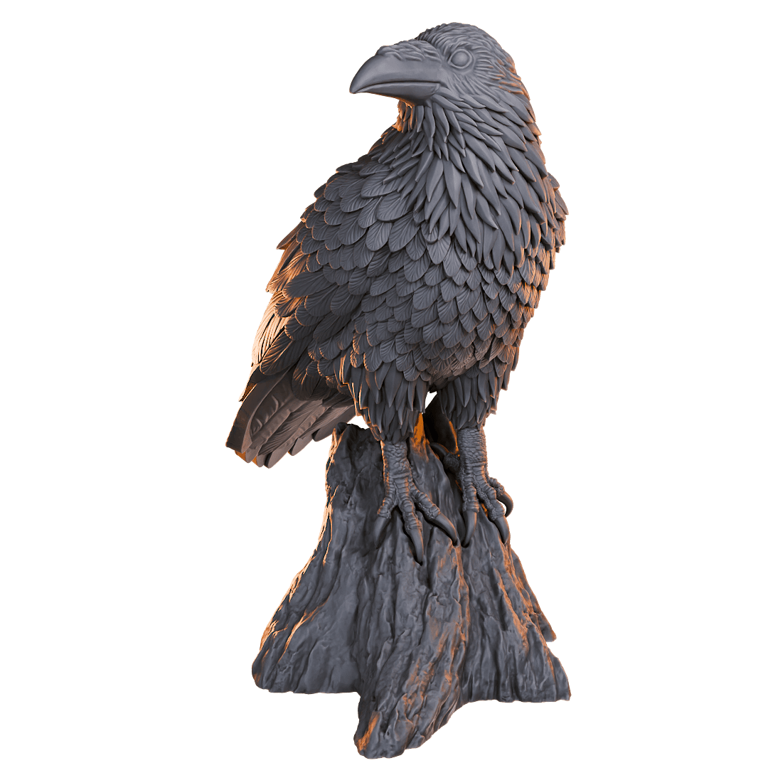 Raven