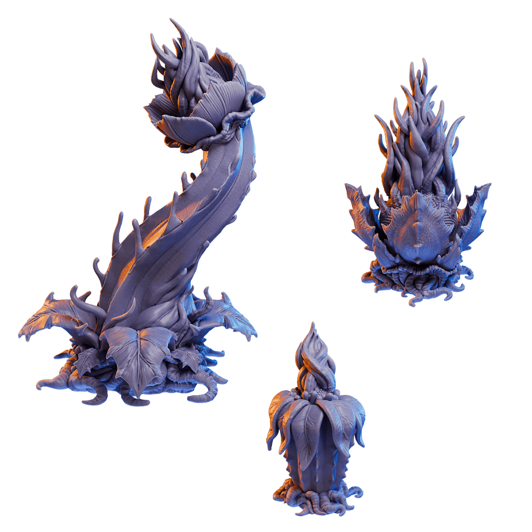 Cetonian flora